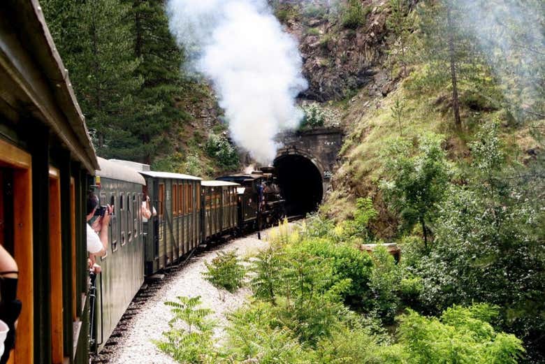 Trem Sargan 8