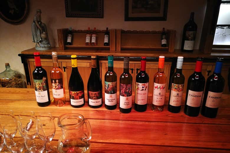 Enjoy a wine tasting