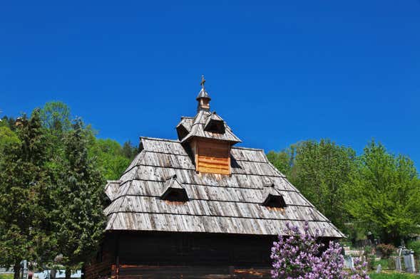 Tour por Serbia occidental + Tren Šargan 8