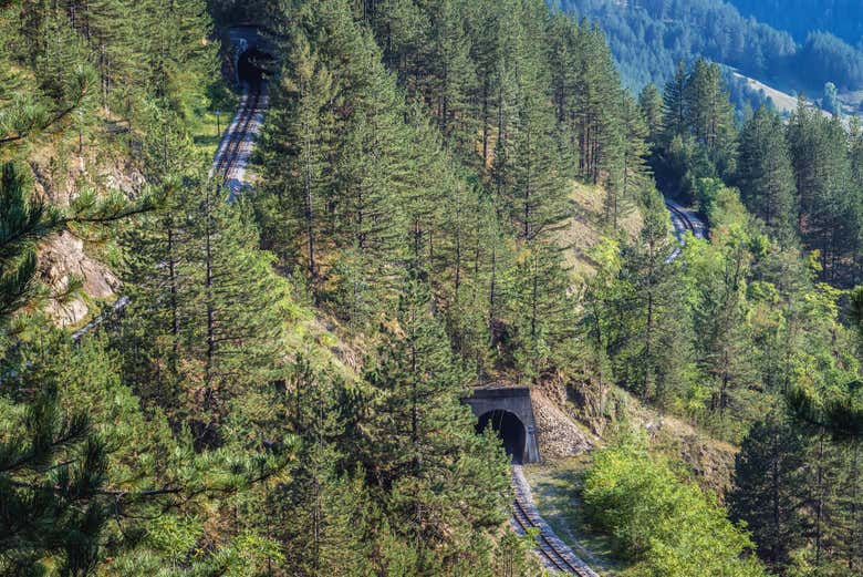 Fall in love with the landscapes!