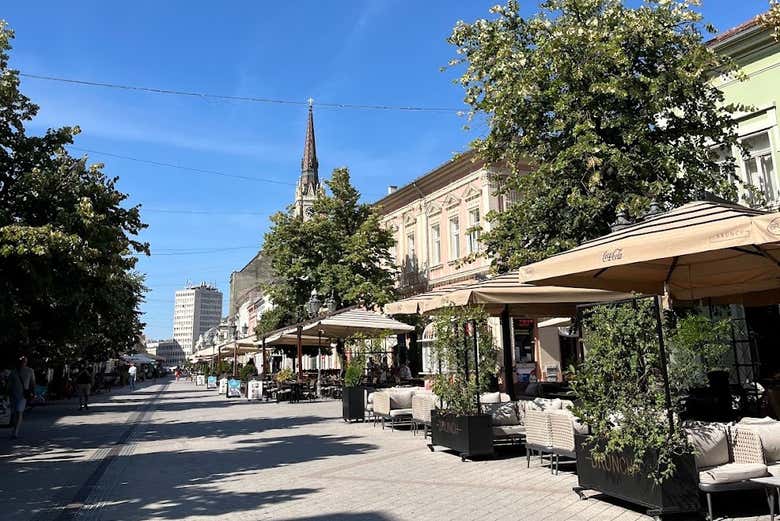 Explore Zmaj Jovina Street