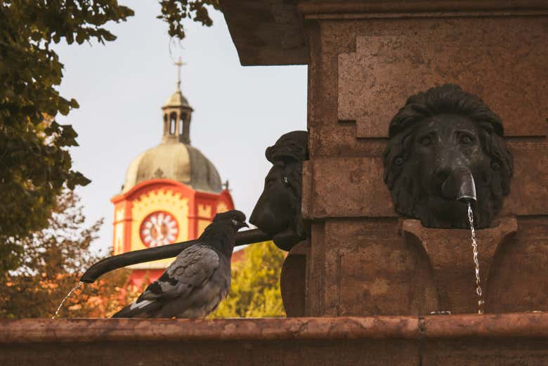 ¡Os enamoraréis de los rincones de Sremski Karlovci!