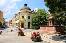 Visita guiada por Sremski Karlovci