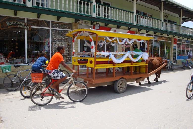 Paseando en "camión" por La Digue