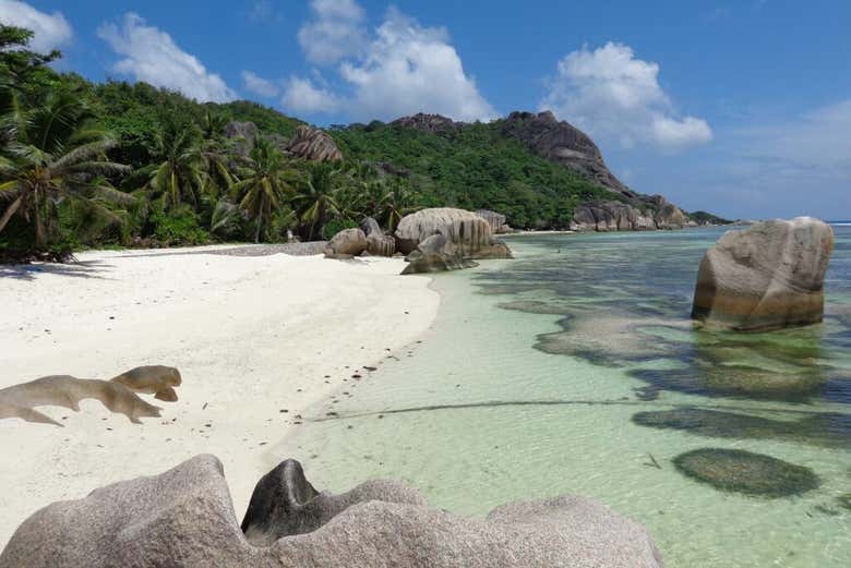Playa de Anse Source D'Argent
