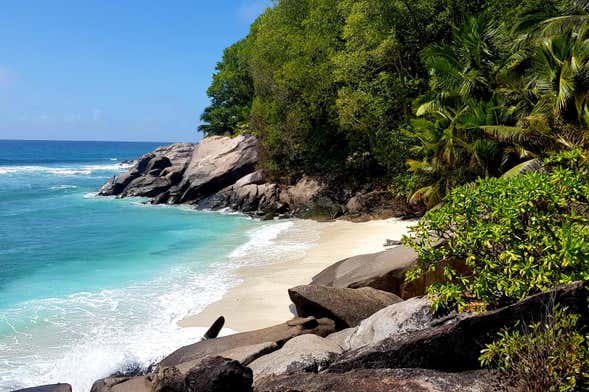 Excursão à ilha de Moyenne