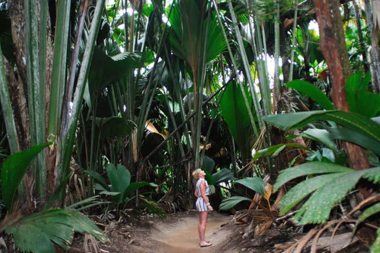 Passeando pela ilha de Moyenne
