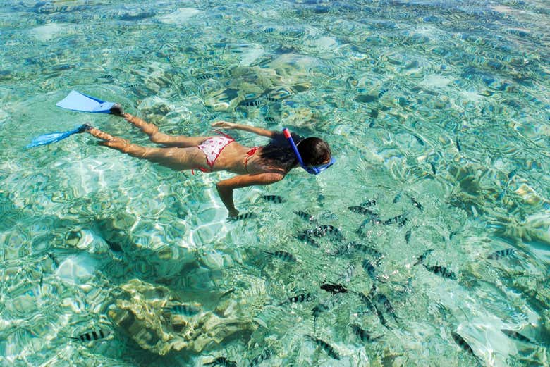 Fazendo snorkel