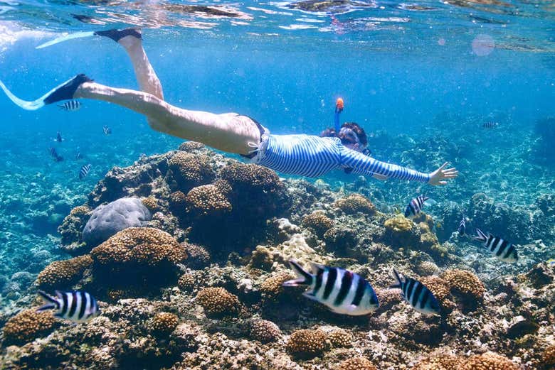 Snorkel en los arrecifes de Sainte-Anne