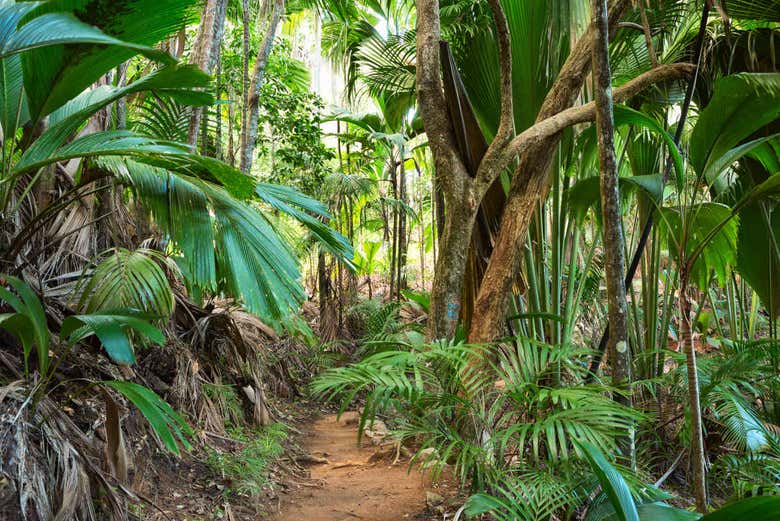 Valle de Mayo en Praslin