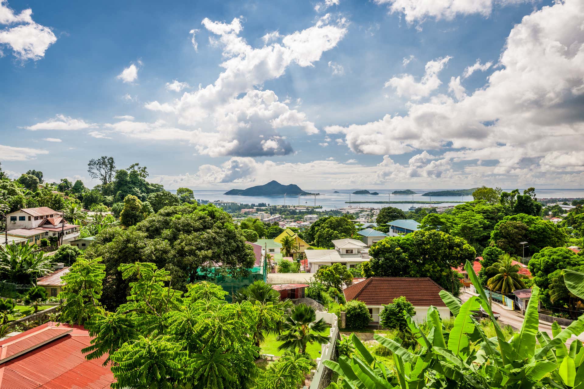 Visite dans Victoria + Jardin du Roi, Mahé