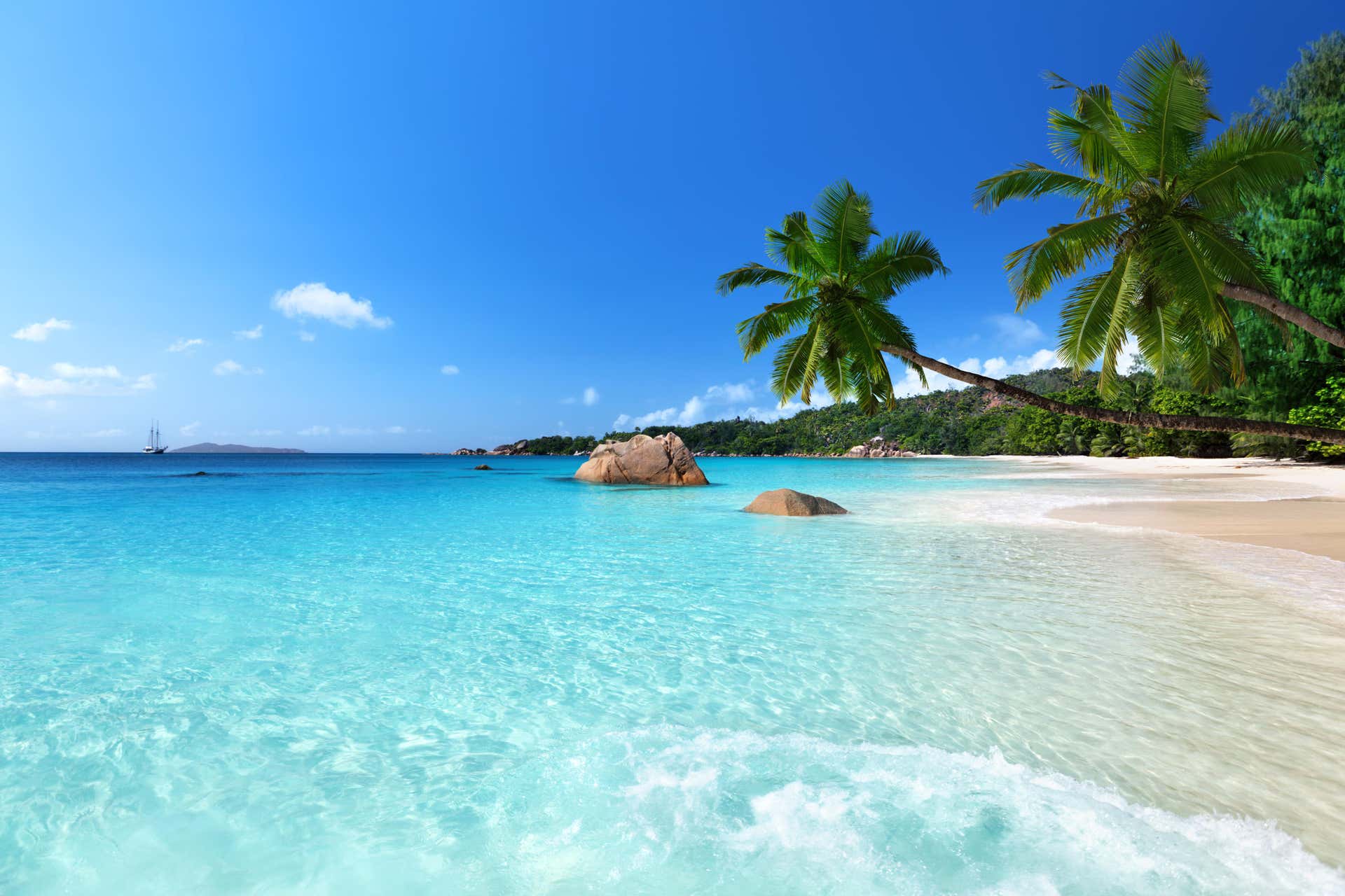 Excursion à Anse Lazio et Vallée de Mai