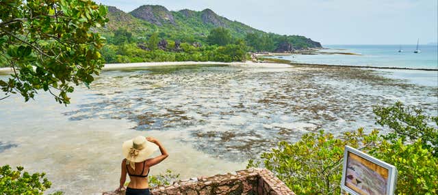 Excursión a la isla Curieuse