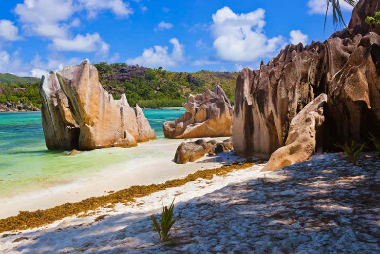 Paisajes de la isla Curieuse