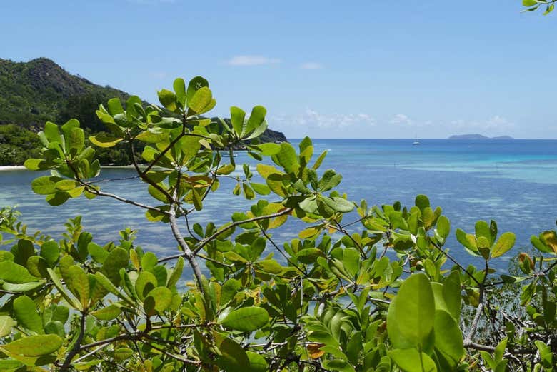 Paesaggio delle Seychelles