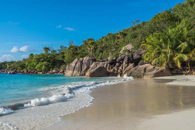 Playa en Anse Lazio