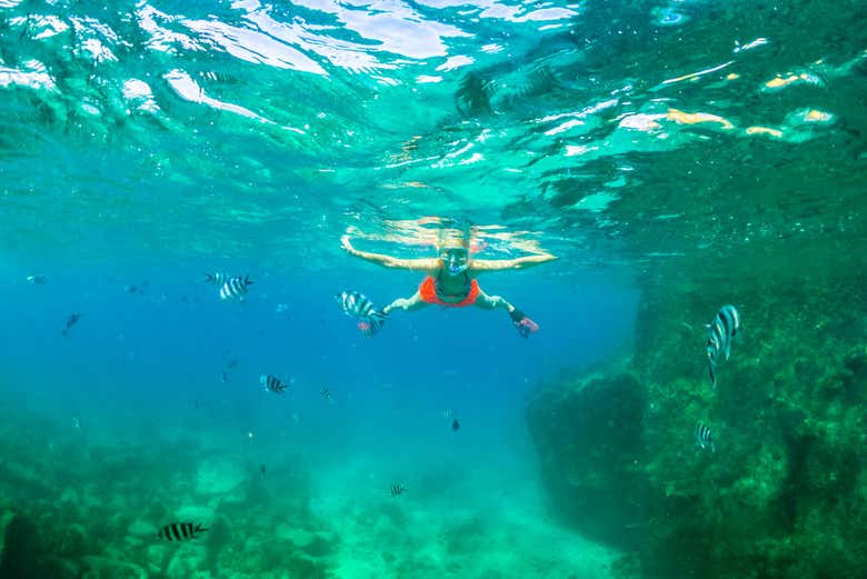Practicando snorkel