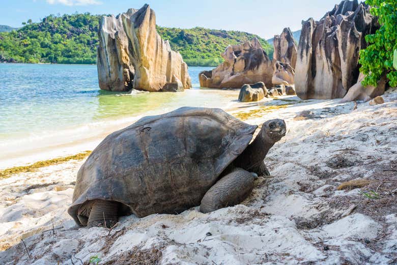 curieuse island tour from praslin