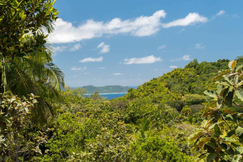 Reserva Natural del Valle de Mai