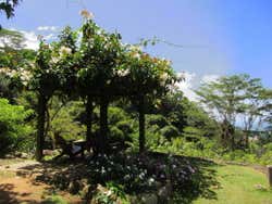 Vistas desde el Jardin Du Roi