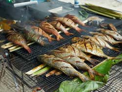 Pescado a la parrilla