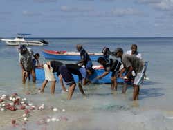 Pescadores locales