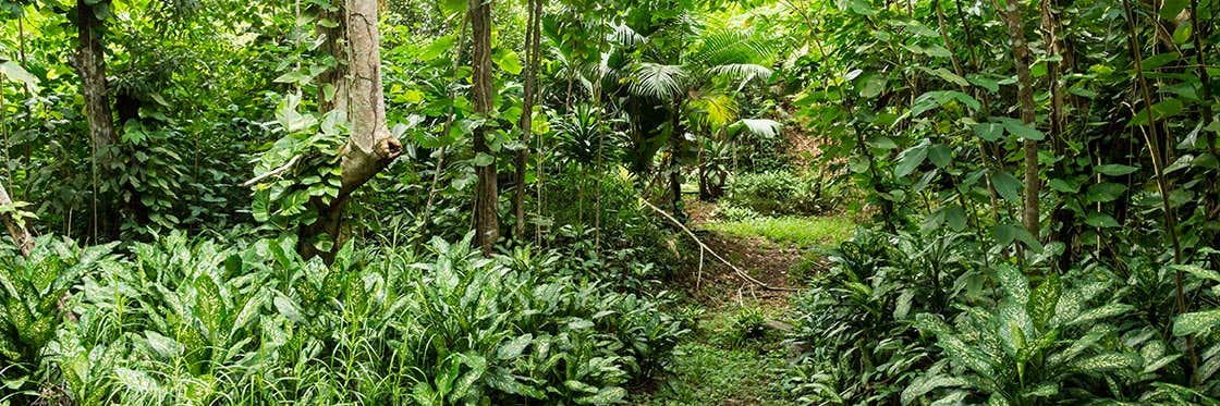 Vallée de Mai