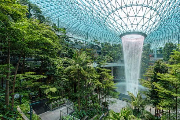 Canopy Park Ticket