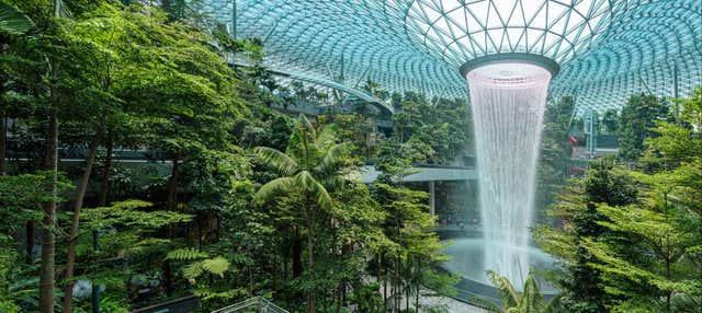 Entrada al Canopy Park del aeropuerto de Singapur