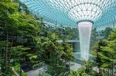 Biglietti per il Canopy Park dell'aeroporto di Singapore
