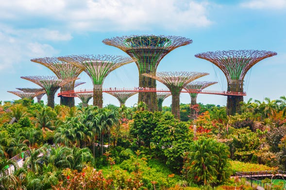 Ticket to the Gardens by the Bay