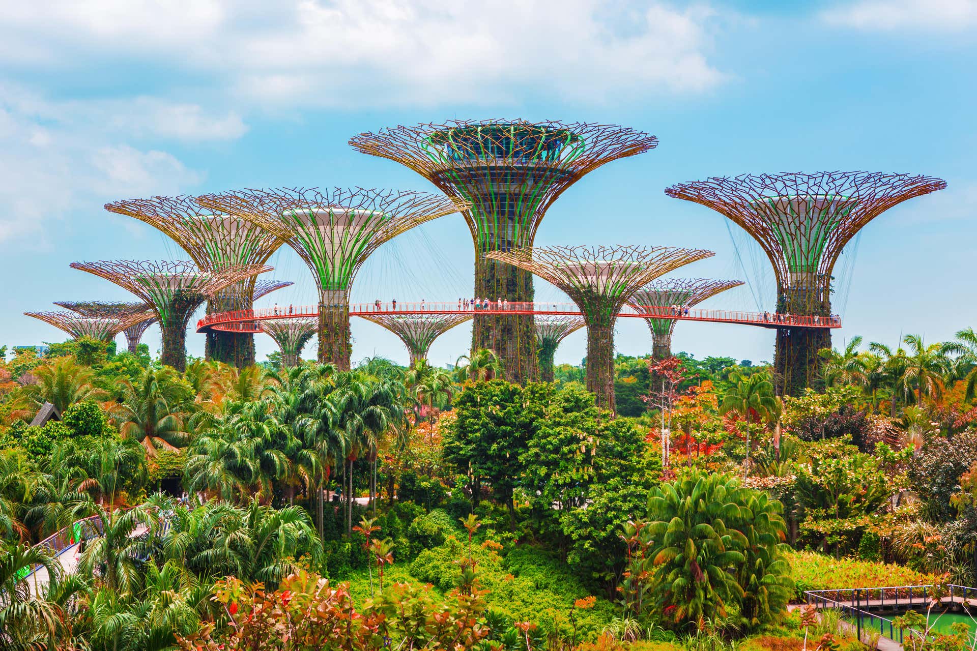 Ticket to the Gardens by the Bay in Singapore - Civitatis.com