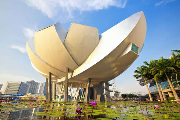 Singapore Art and Science Museum Ticket