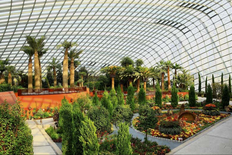 Árboles en los Jardines de la Bahía