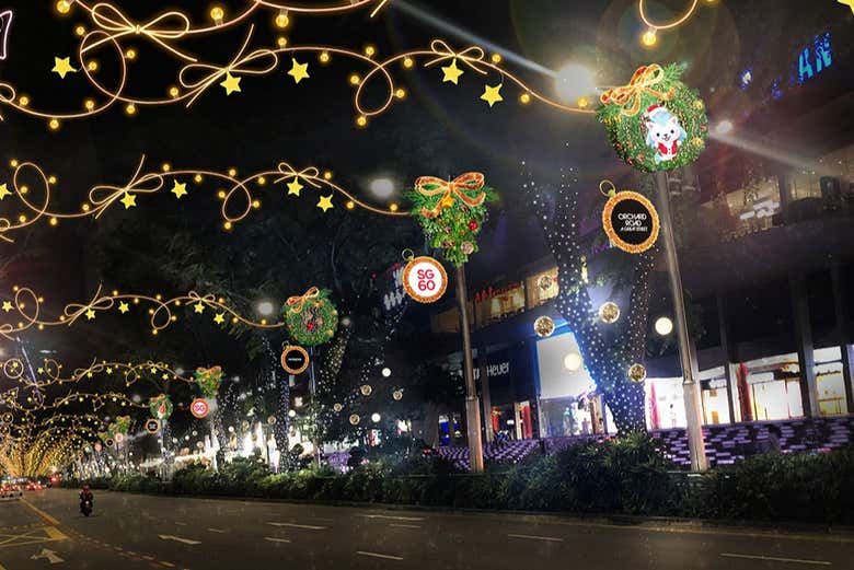 Recorreremos diferentes puntos de Singapur para ver su alumbrado