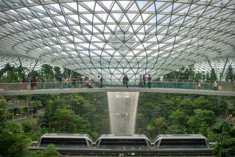 Canopy Bridge