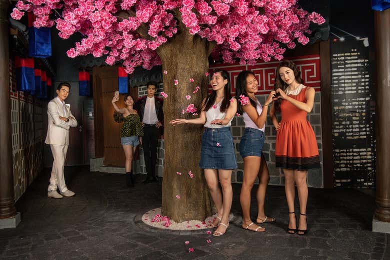 Cerezos en flor en la zona K-Wave