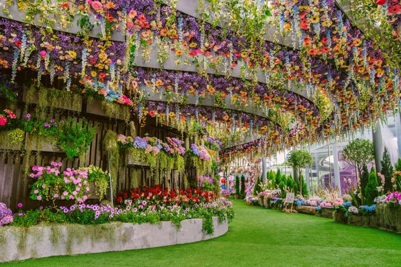 Lasciandoci inebriare dall'aroma dei fiori