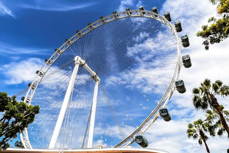 Detalle de la noria Singapore Flyer
