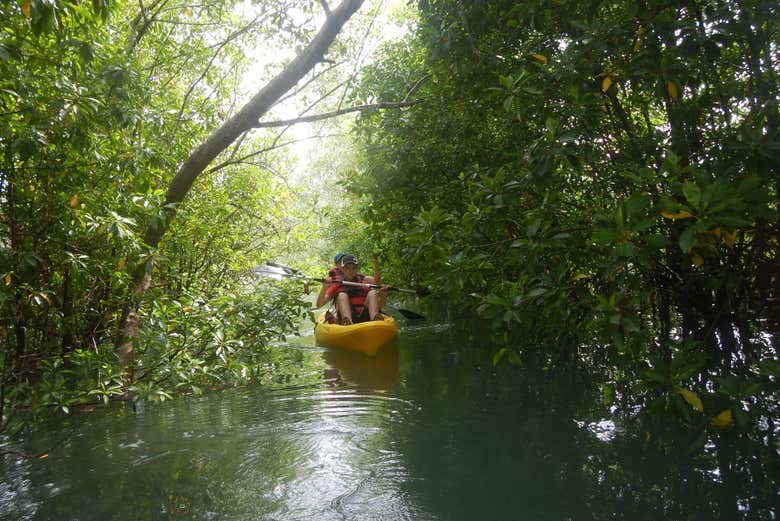 Pulau Ubin Island Sunset Kayak Tour, Singapore