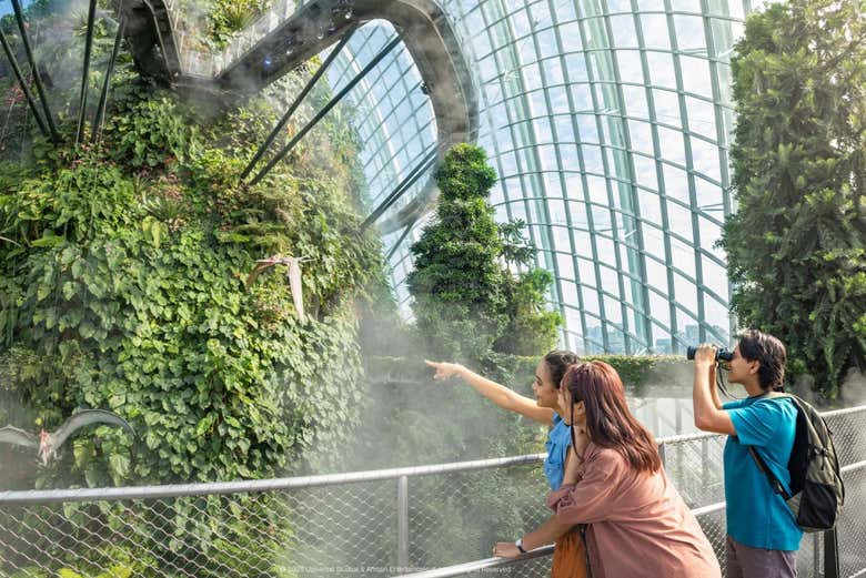 Gardens by the Bay