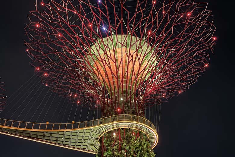 Supertree Grove