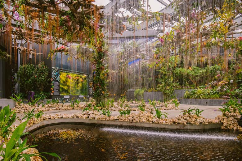 Interior de los Jardines de la Bahía