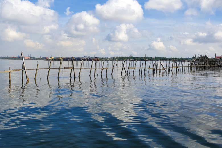 El litoral de Pulau Ubin