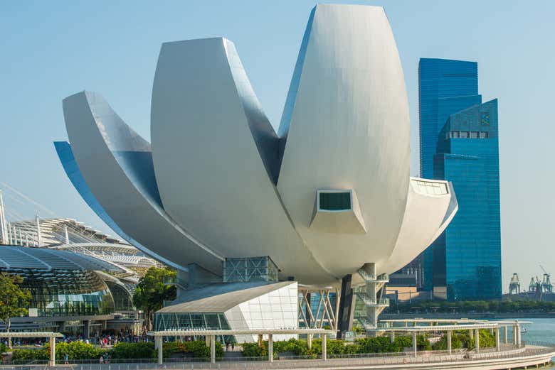 Le Musée des Arts et des Sciences