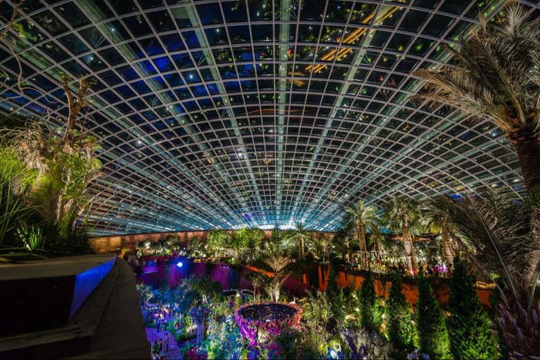 Interior de los Jardines de la Bahía de noche