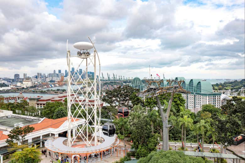 Admire the city skyline