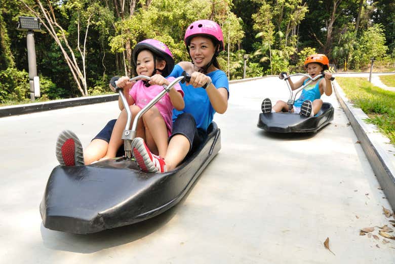 Skyride Luge Sentosa