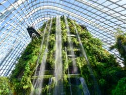 Gardens by the Bay, cascate
