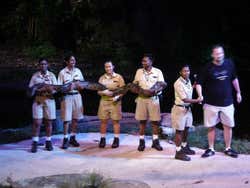 Safari Notturno